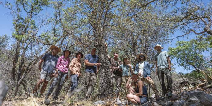Researchers stand beside the found Quercus tardifolia, commonly known as the lateleaf oak. Photo by U.S. Botanic Garden.