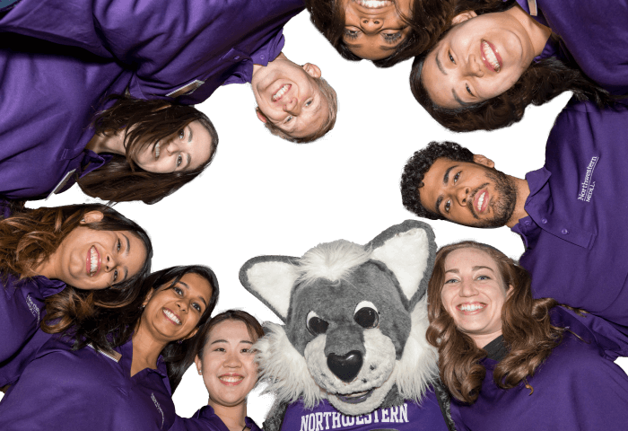 A group of students and Willie the Wildcat gather in a huddle.