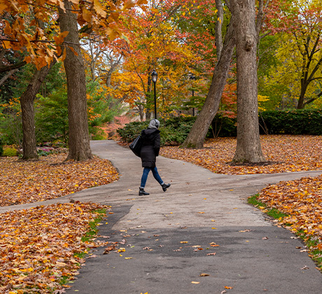 Person walking along a path.