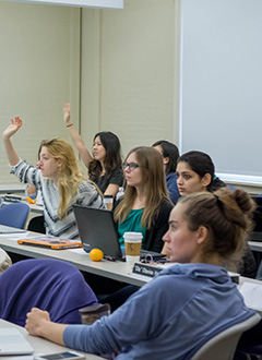 Students raising hands in class