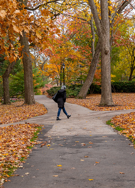 Person walking a path through the woods