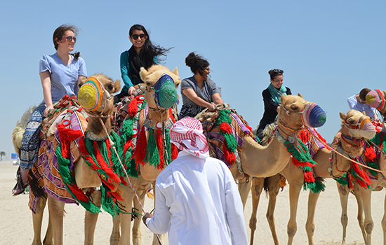 Group photo of students riding camels.