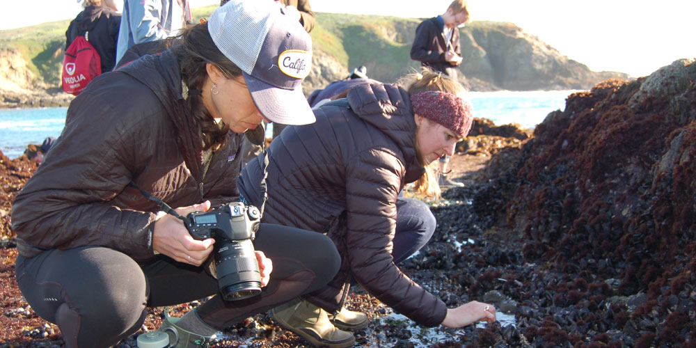Students examine and photograph a coast in California. 