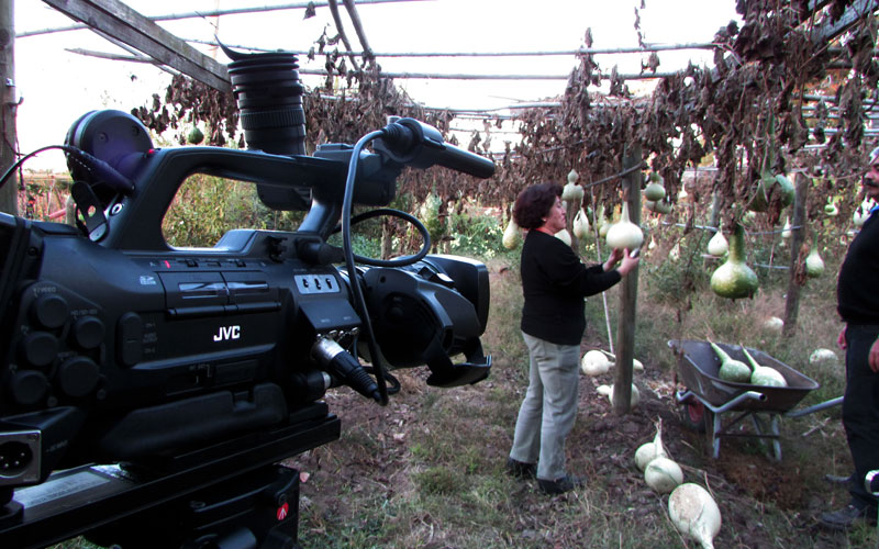 Medill students film farmers in Chile
