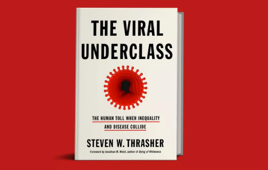 Book cover of "The Viral Underclass"
