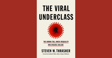 "The Viral Underclass" book cover.